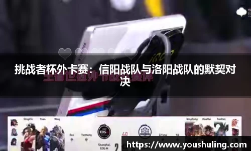 挑战者杯外卡赛：信阳战队与洛阳战队的默契对决