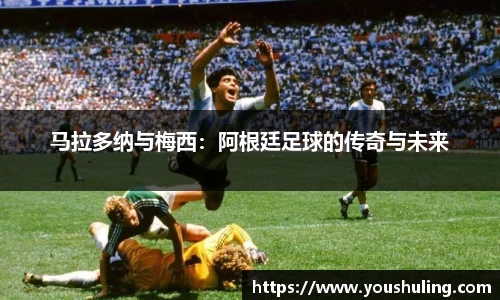 完美体育平台